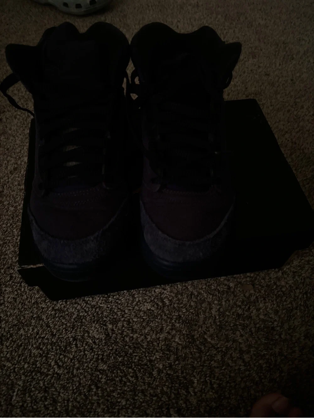 Jordan rich purple